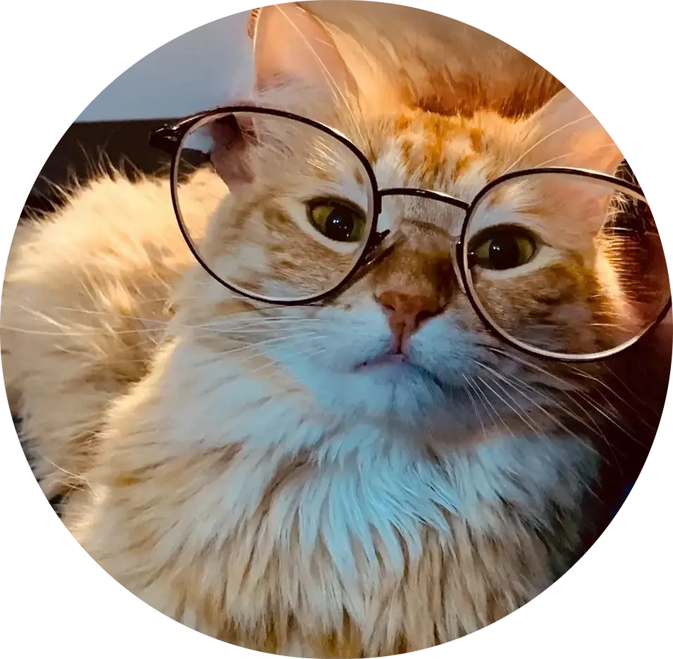 lexi CDO image